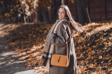 Profile photo of optimistic brown hairdo millennial lady walk in park wear coat scarf bag at the...