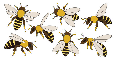 Honey bee isolated color set icon. Vector illustration animal of honeybee on white background. Vector color set icons honey bee .