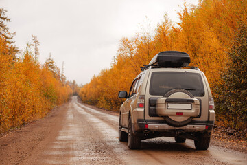 SUV on scenic autumn road in the forest