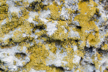 rough texture of paint applied to the wall