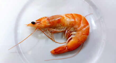 Boiled tiger shrimp on a white plate, Big shrimp