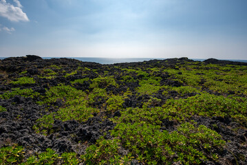 通り池からの風景