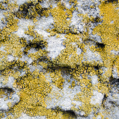 rough texture of paint applied to the wall