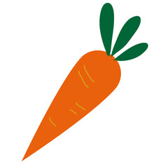 carrot Fresh organic vegetable. Vegetarian food. Sweet food.