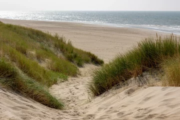 Papier Peint photo autocollant Mer du Nord, Pays-Bas Vue sur la plage depuis le chemin de sable entre les dunes de la côte néerlandaise de la mer du Nord avec de l& 39 herbe marram européenne (herbe de plage) le long de la digue sous un ciel bleu clair, Noord Holland, Pays-Bas.