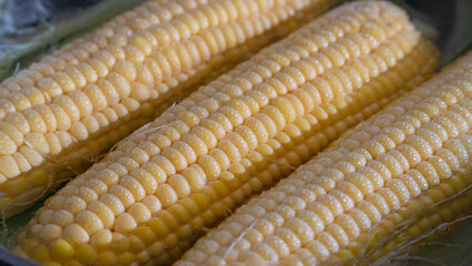Corn cobs boiled in a close-up pot
