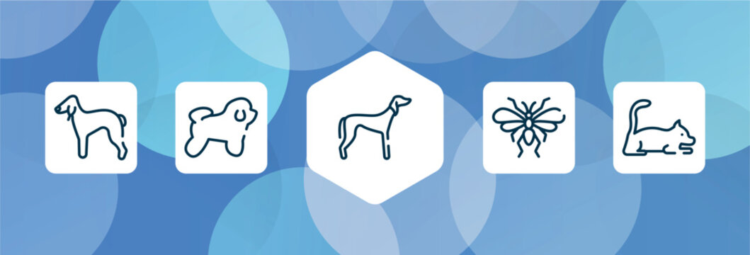 pet lovers outline icon set isolated on blue abstract background. thin line icons such as bedlington terrier, bichon frise, saluki, null, laying cat vector. can be used for web and mobile.