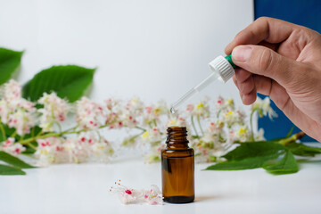 Bottle of horse chestnut extract, essence of chestnut flowers. Flowering branches and leaves of horse chestnut.