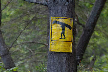 An old weathered yellow marker sign indicating a place for portaging route, blurred thick forest in the background. Camping, kayaking, canoeing, trip, adventure, active lifestyle concept.