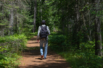 Young fit man walking through an alley in coniferous forest on a summer sunny day in northern Ontario provincial park. Selective focus, blurred background.