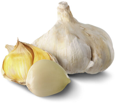 Organic fresh healthy garlic vegetables collection