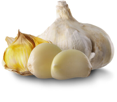 Organic fresh healthy garlic vegetables collection