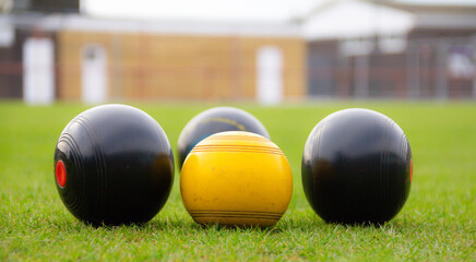 Crown green bowling balls, collected around the yellow Jack in a bowling competition outdoors in...