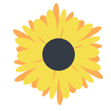Yellow summer flower, sunflower, sunflower silhouette on transparent background. For use in the design of business cards, postcards, invitations, website, stickers, text base.