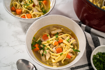 Chicken Noodle Soup