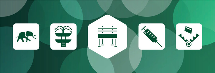 wildlife filled icon set isolated on abstract background. glyph icons such as elephants, fountain, bench, syringe, trap vector. can be used for web and mobile.