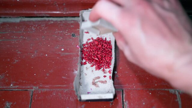 Poisoned wheat dyed bright red against mice is poured into a paper feeder. Rodent control in an old rural house. Poison against small rodents, mice and rats