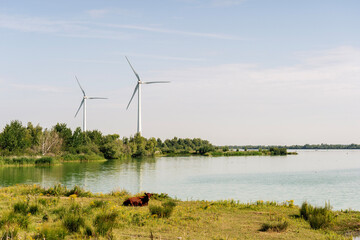 wind turbine on the river © GautierHouba