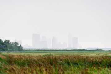 Fototapeta na wymiar Rotterdam skyline from across the fields