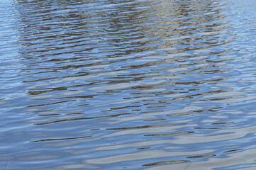 reflection of the blue sea, the pacific ocean