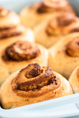 Cinnamon rolls