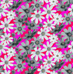 Isolated Calendula Daisy Real Flowers Photo Print Seamless Pattern Ombre Background Trendy Fashion Colors Elegant Chic Style Design Perfect for Allover Fabric Print