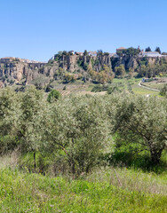 Ronda village