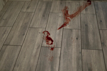 Blood on laminate. Bloody trail on floor. Dirt in room.
