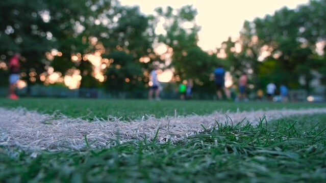Football lawn close-up, football players in the background. Football in the background. Training for the World Cup