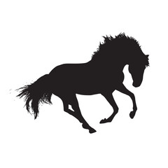 black hourse running. vecote illustration realistic