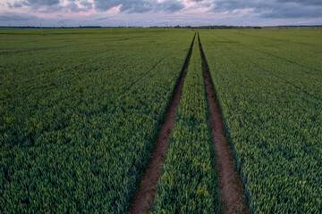 road in the field