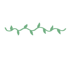 Handdrawn Decorative Line