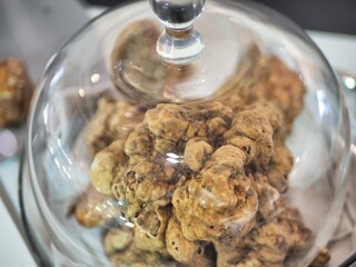 White truffles specialty food on display at italian restaurant