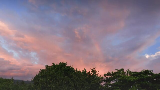 Aerial footage of rainbow glowing on a beautiful dusk sky with pink clouds and flying birds. Drone camera flying towards sunset cloudscape above tropical green. Flocks of birdies in tropical paradise.