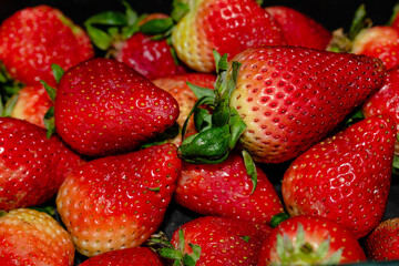 set of intense red strawberries and green leaves with details of seeds