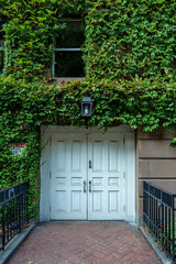 Old wooden door on a wall covered in greenery. Old lamp above entrance, metal forged fence on front. High quality photo