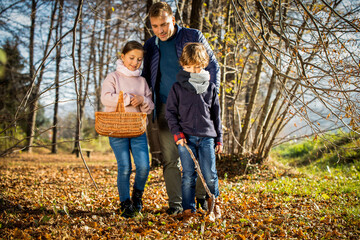 Fototapeta premium Father with his children picking mushrooms while walk in autumn forest