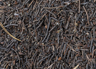 background in the form of a fragment of an anthill