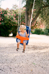 Little girl in sunglasses swings on a colorful swing with her head turned to the side. High quality photo