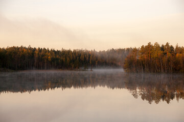 fog in the morning on an autumn forest lake
