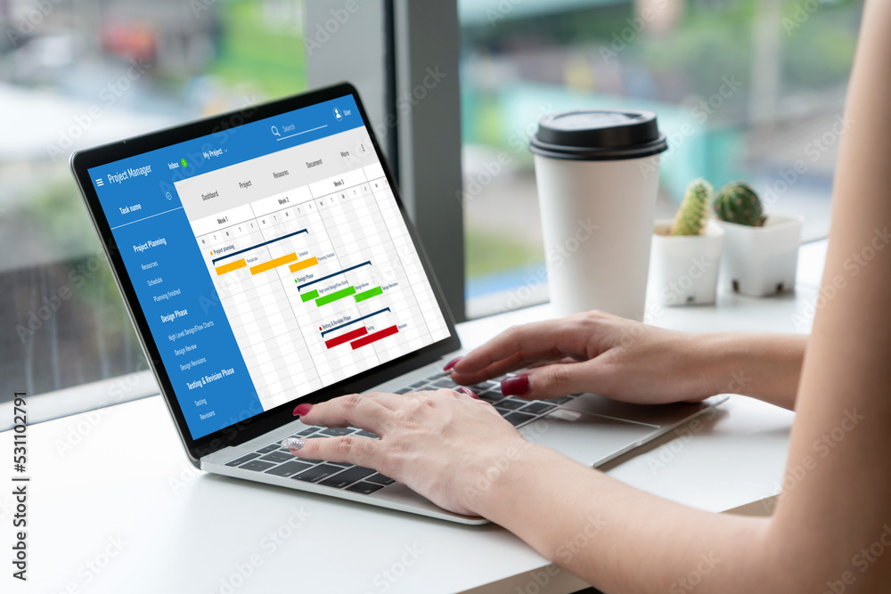 Poster project planning software for modish business project management on the computer screen showing time