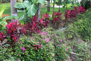 Tropical landscaped botanical garden at a resort in Puerto Vallarta Mexico