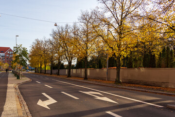City street in Malmö Sweden bordered with autumn colored leaves in yellow that are falling to the ground