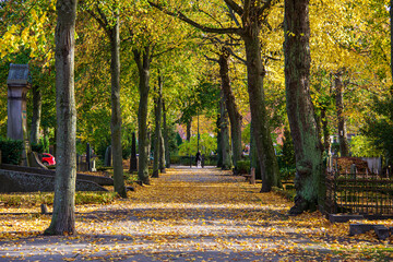 Walkway through cemetery bordered with autumn colored leaves on warm fall day in Malmö Sweden
