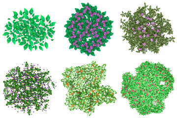 Pack of PNG vegetation. +6K. Flowering Bushes. Made from 3D model for compositing