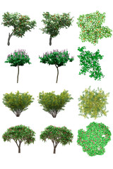 Pack of PNG vegetation. +6K. Flowering Bushes. Made from 3D model for compositing