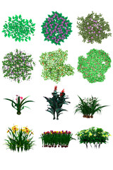 Pack of PNG vegetation. +6K. Flowering Bushes. Made from 3D model for compositing