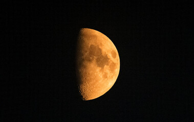 Mond