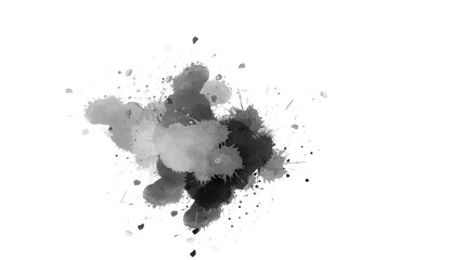 Ink brush stroke transition. Ink splash. watercolor brush ink drop transition. Abstract ink brush blot, splat, fluid art, overlay, alpha matte composition, spreading brush stroke. - Powered by Adobe