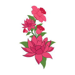 Beautiful color floral vector graphic design illustration on white background.